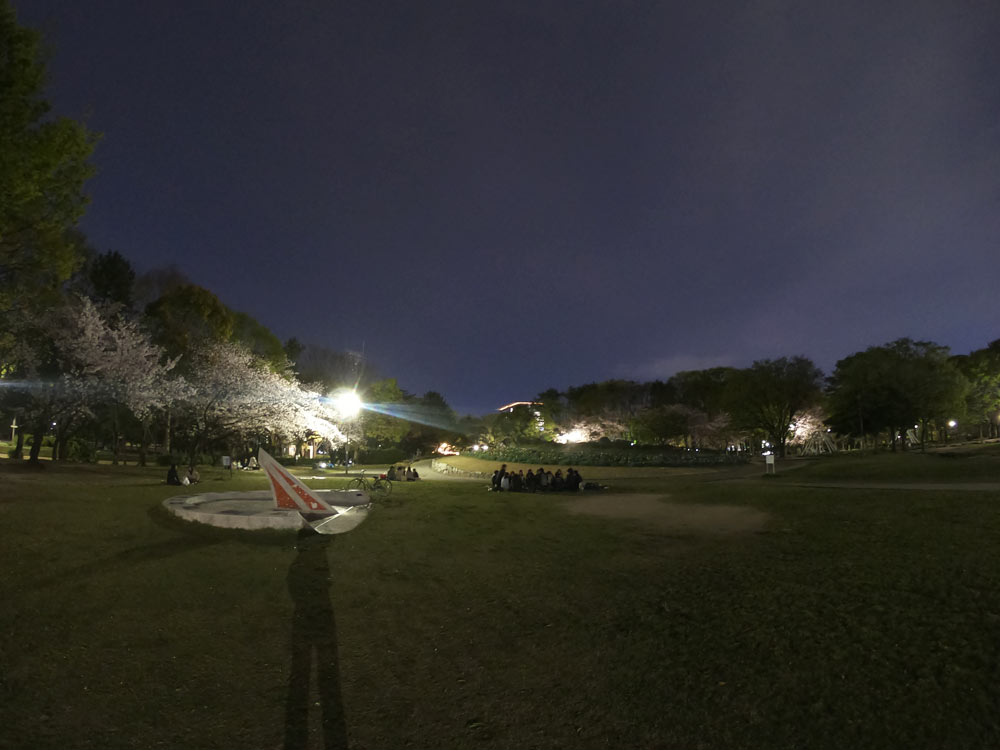 名城公園夜桜